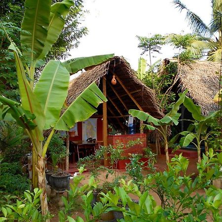 Homestay Camping Anuradhapura Eksteriør billede