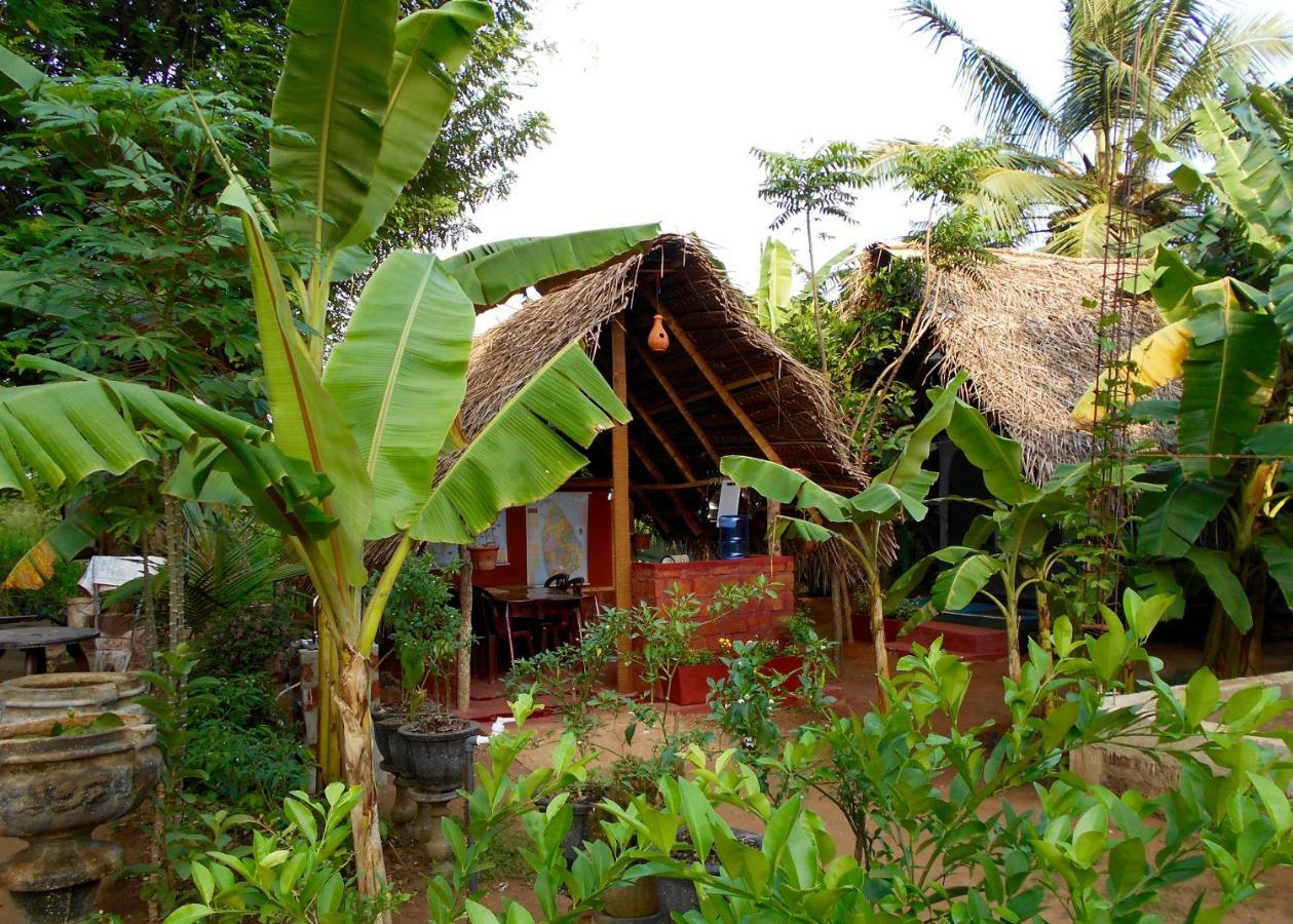 Homestay Camping Anuradhapura Eksteriør billede