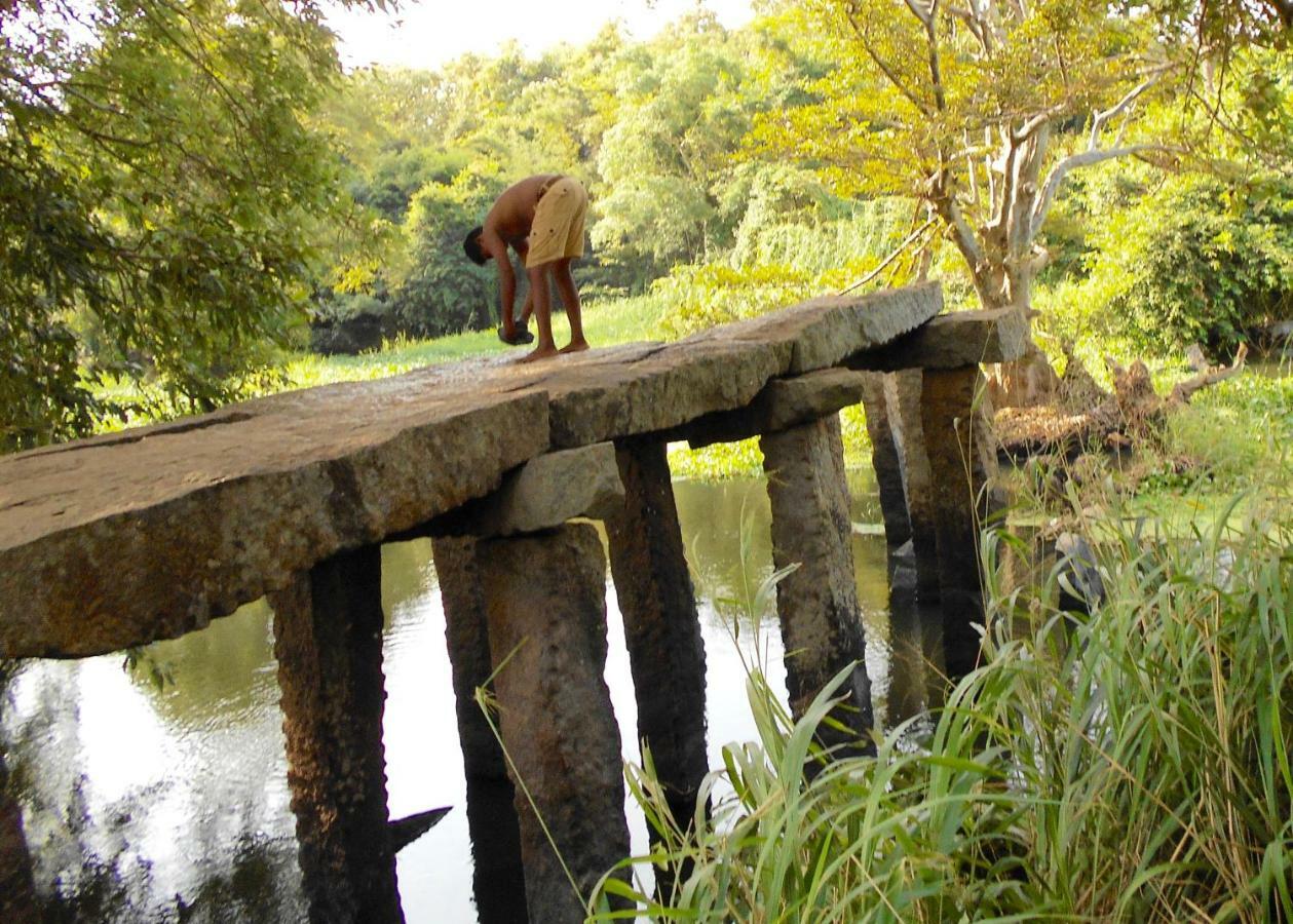 Homestay Camping Anuradhapura Eksteriør billede