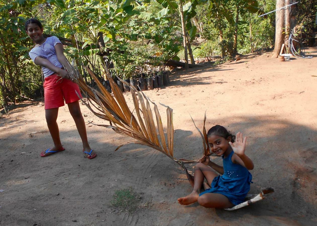 Homestay Camping Anuradhapura Eksteriør billede