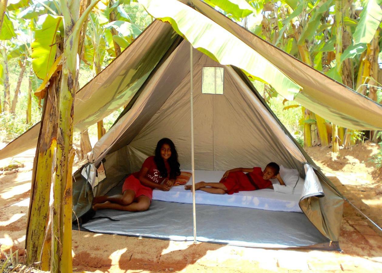 Homestay Camping Anuradhapura Eksteriør billede