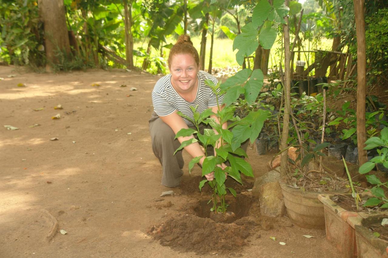 Homestay Camping Anuradhapura Eksteriør billede
