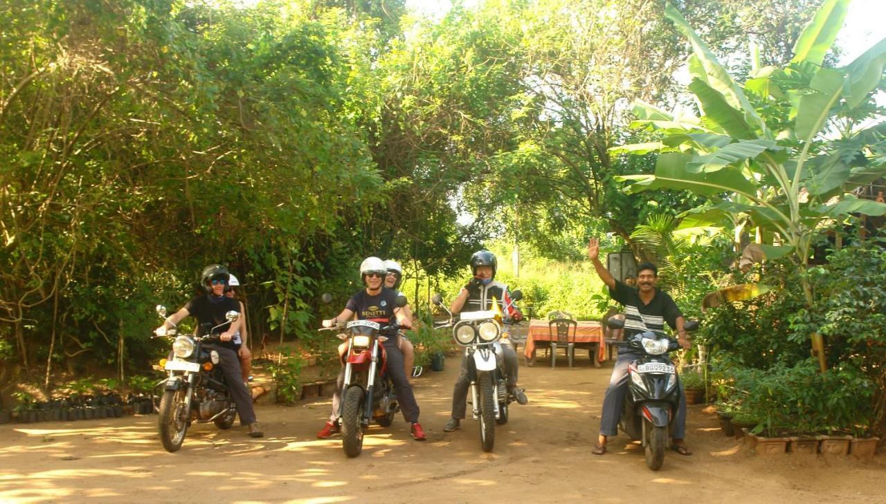 Homestay Camping Anuradhapura Eksteriør billede
